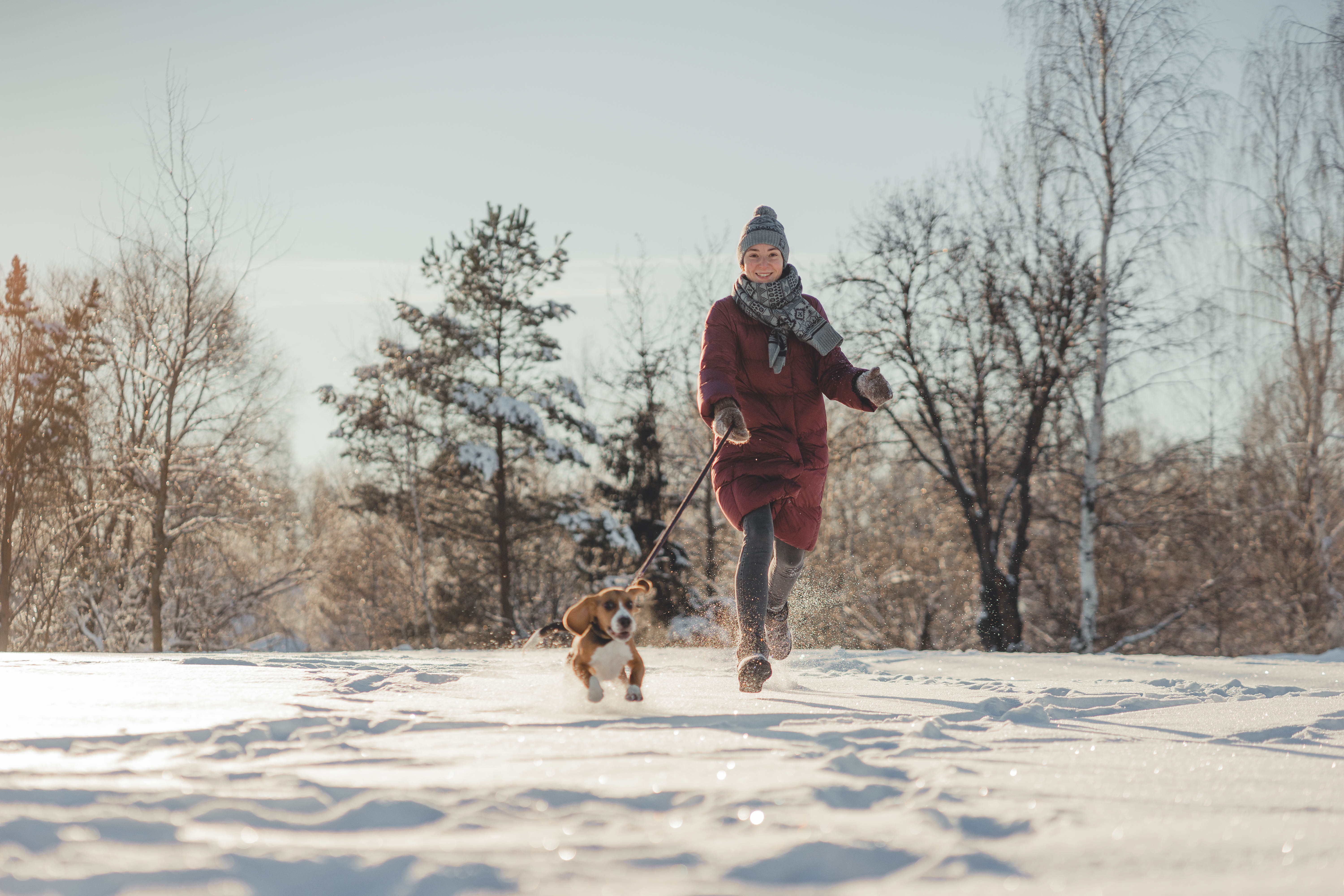 Woman walking dog in the snow